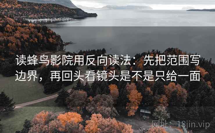 读蜂鸟影院用反向读法：先把范围写边界，再回头看镜头是不是只给一面